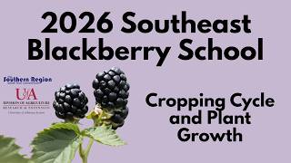 Getting Started: Blackberry Cropping Cycle and Plant Growth