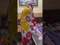 Bahu ko hua dhhoka #comedy #entertainment #dramachannel #funny