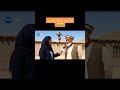 ما هیچ مشکل نداریم افغانی تیک تاک ویدیو ویدیو خنده دار هوش مصنوعی   