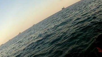 Panais Vs octapus hahahaha