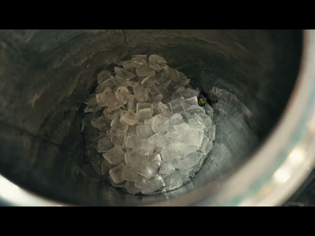 April Invader photography stud - LINDEI 林茶