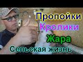 Сельская жизнь!!! Кролики.. Пропойка... Жара...