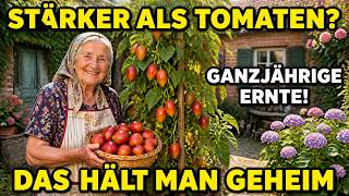 Vergessen, aber genial: Diese Pflanze trägt das ganze Jahr und überlebt Jahrzehnte lang