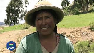 Electrificación Rural Elfec - Tapacarí