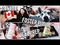 GROCERY HAUL, FOSTER DOG, SEATTLE TO CANADA DAY TRIP,  HAIR & FACE MASKING! Vlog