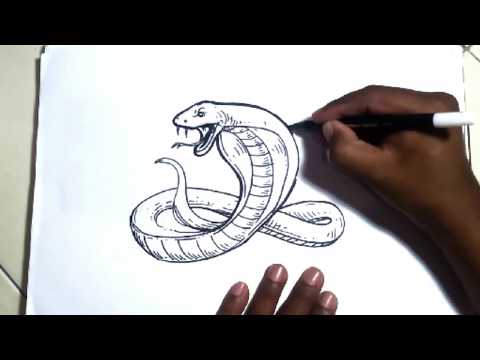 Video: Cara Melukis Ular Dengan Pensil
