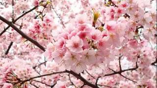 سورة العلق ...  محمد حسان