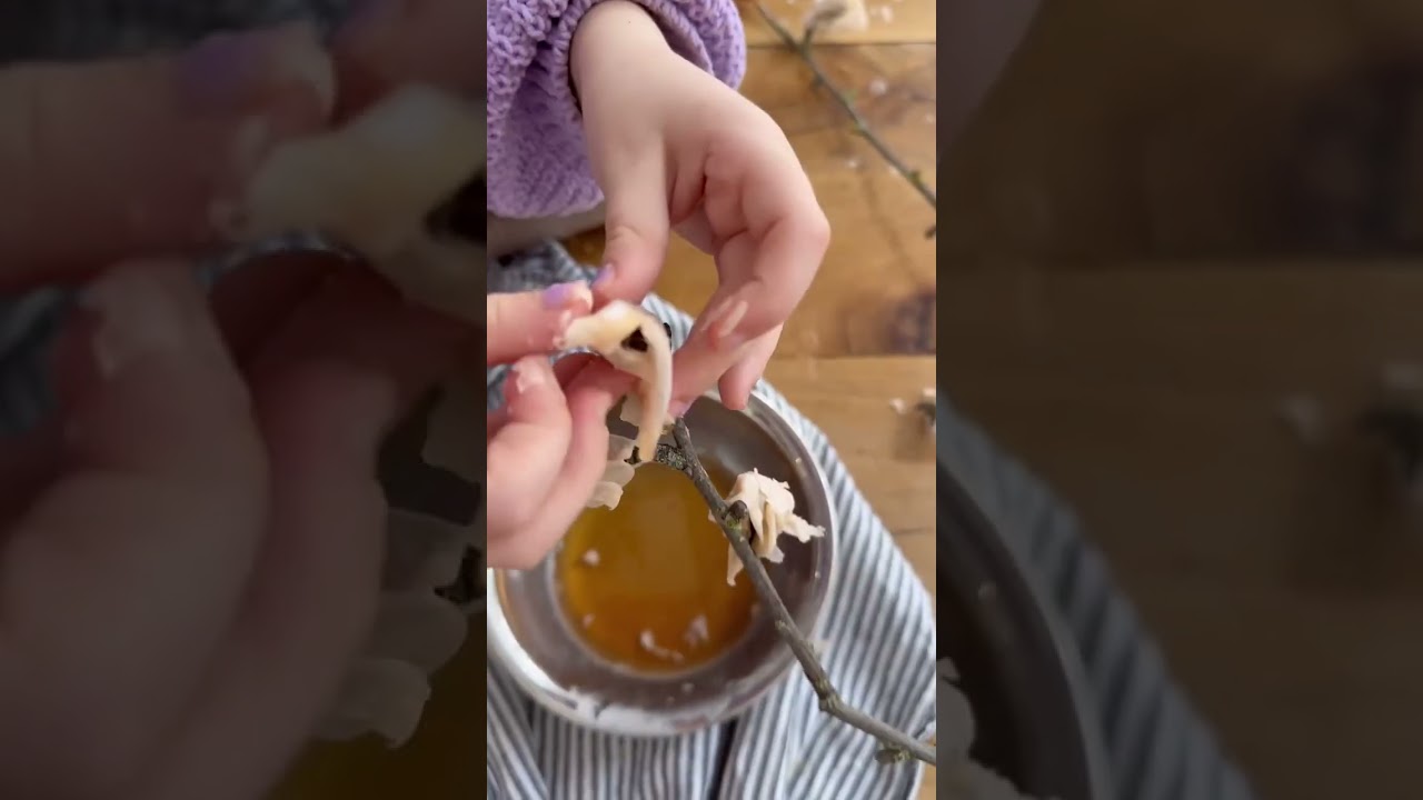 B L Ü T E N - Von diesem Blütenzweig habt ihr ganz lange etwas. 