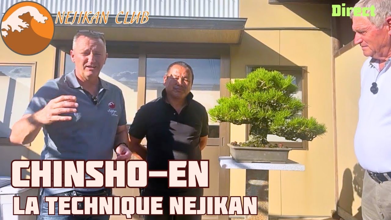 NEJIKAN LA TECHNIQUE DE KINASHI - CHINSHO-EN - PRATIQUE ✅ NEJIKAN CLUB PUBLIC ✅