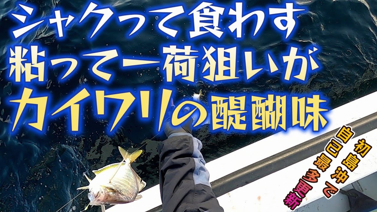 シャクって食わせ粘って一荷狙い!!　カイワリ釣りの醍醐味を満喫し自己最多28匹～入れパクよりも釣りとしての満足度は断然上♪～（2024.3.2 宇佐美・治久丸 午後カイワリ）