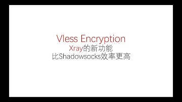 Vless Encryption | Xray的新功能 | 比Shadowsocks效率更高