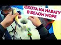 ловим навагу  Белое море, Вейга | зимняя рыбалка 2021