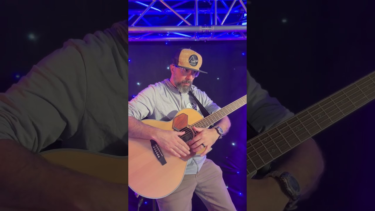 PL3 - Professional Electric Guitar and Music videos