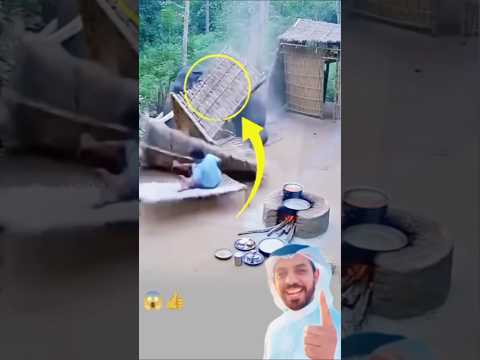 كنت أعيش آخر لحظاتي دون أن أعلم أنها ستتحول إلى بداية جديدة ابلور لايك 