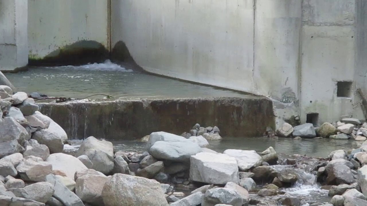 0101 - ВЕЦ Етрополе - 2019-05-11 - 1