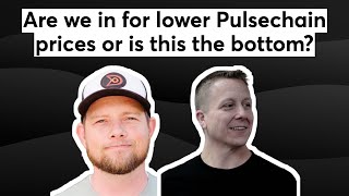 Are we in for lower Pulsechain prices or is this the bottom?