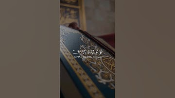 Surah Aal Imran 31-32 I سورة آل عمران ٣١-٣٢ #قرآن #القرآن_الكريم #تلاوات #ياسر_الدوسري #quranverses