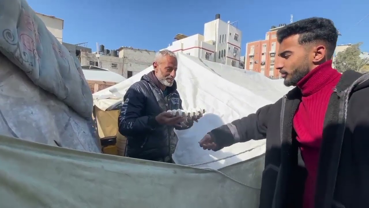 توزيع البيض على الاهالي في مخيمات جنوب غزة بعد انقطاعه 💔