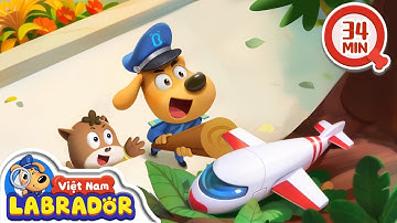 🐒🌴 An toàn không trèo lên cao | Hoạt hình thiếu nhi 🚨👮 Cảnh sát trưởng Labrador Vietnam🚔