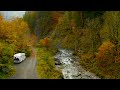 Van Life in the Forest