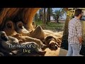 The Story Of Qitmir Dog Shorts Allah Story Qitmir Dog Viralvideo Islamicvideo Islam The Story Of Qitmir Dog Shorts Allah Story Qitmir Dog Viralvideo Islamicvideo Islam