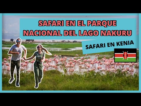 Video: Parque Nacional Del Lago Nakuru. Kenia