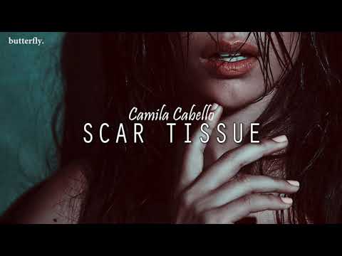scar-tissue-~-camila-cabello-(español)-leer-descripciÓn