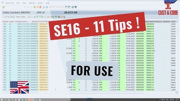SE16 - 11 Helpful Tips and Tricks for Use [english]