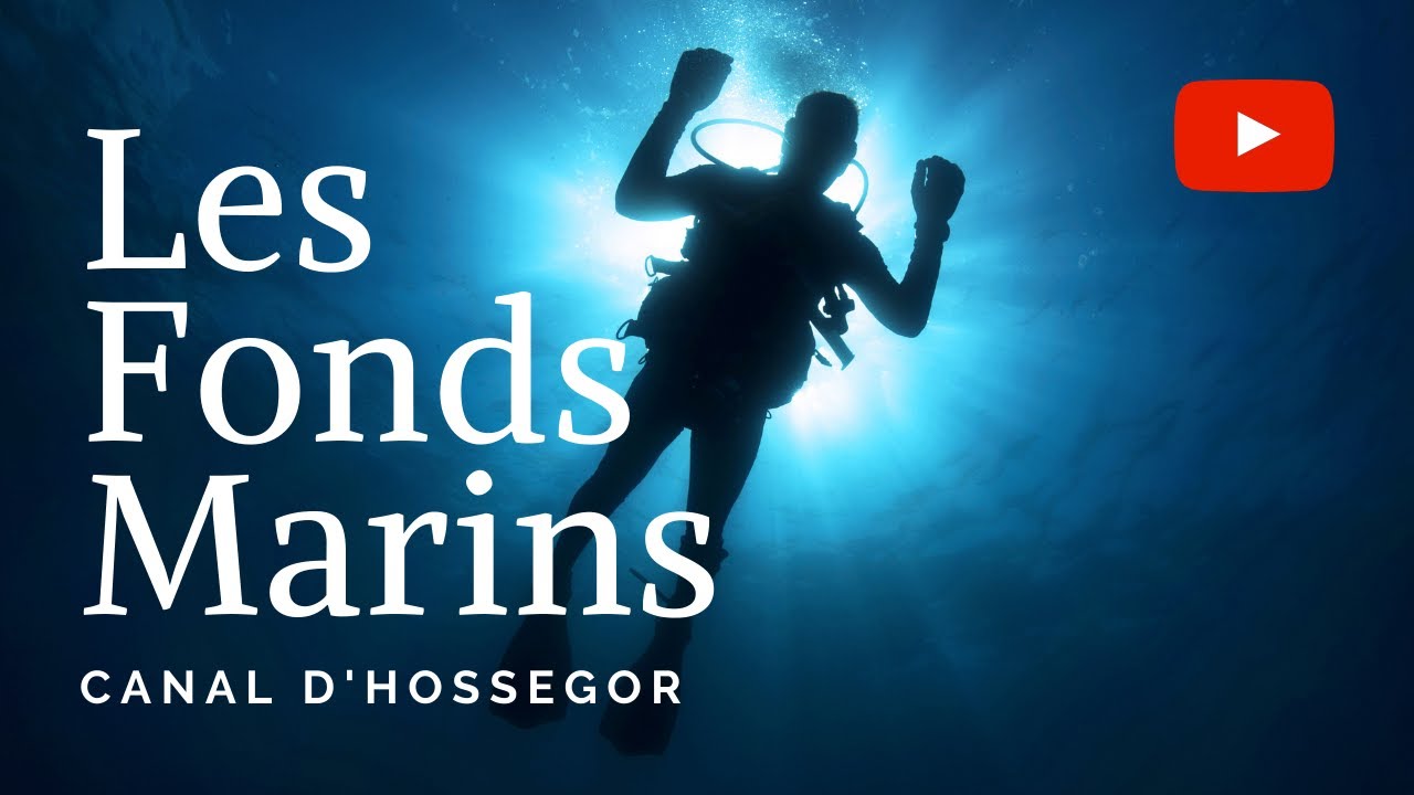 Les Fonds Marins du canal d'Hossegor
