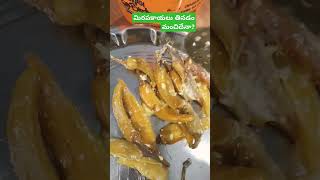 మిర్చి మంచి ఆహారం తింటుందా?