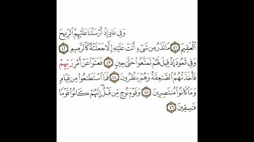 سورة الذاريات 6 القسم السادس تكرار كيفي من .. وفي عاد إذ أرسلنا .. إلى .. إنهم كانوا قوما فاسقين