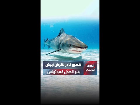 ظهور نادر لقرش أبيض يثير الجدل في تونس