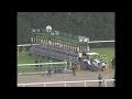 2003年　第64回菊花賞（ザッツザプレンティ　安藤勝己）