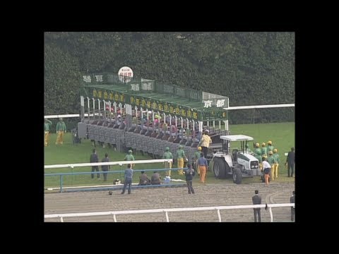 2003年 第64回菊花賞（ザッツザプレンティ 安藤勝己） - YouTube
