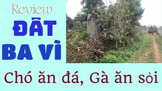 Review mảnh đất chó ăn đá, gà ăn sỏi Vật Lại, Ba Vì, Hà Nội