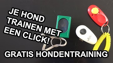 Je hond trainen met een click! Clickertraining [theorie+praktijk]