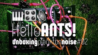 Hello Ants! unboxing the Plankton Electronics Modular Synth