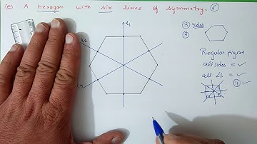 Ex.13.2 (Q.5) Chapter:13 Symmetry | Ncert Maths Class 6 | Cbse