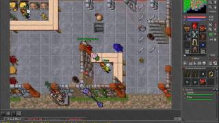 War Bear - Mount- TibiaFuLL