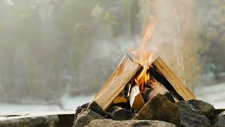 🔥🌌Flickering Flames: Cozy Campfire Sounds for Stress-Free Moments
