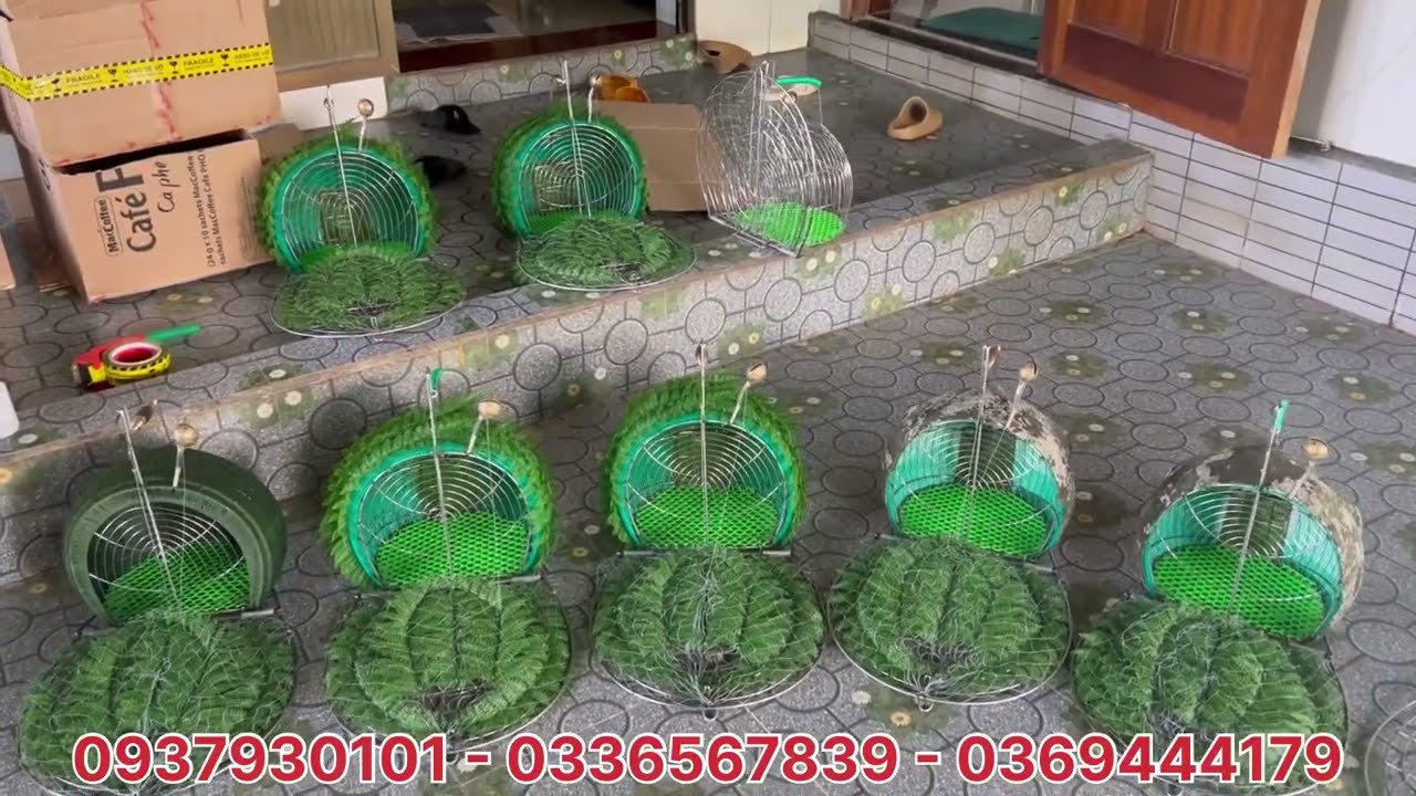 Lụp Bẫy Quốc - Những Mẫu Lụp Quốc Bán Chạy Nhất Thị Trường