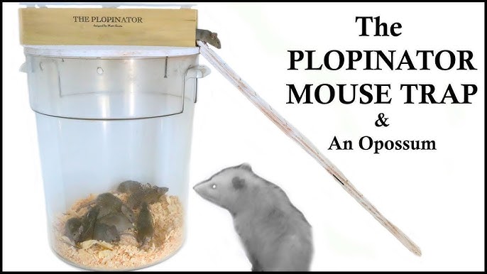 Teeter Totter Bucket Mouse Trap In Action with motion cameras -  mousetrapmonday 