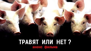 ТРАВЯТ ИЛИ НЕТ ? анонс фильма | Аналитика Юга России