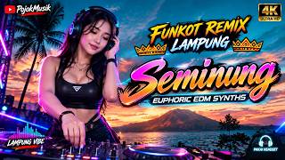 REMIX LAMPUNG SEMINUNG - LIRIK DAN ARTI