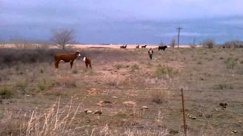 Jesse being a dumbass