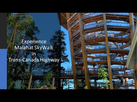 Experience Malahat SkyWalk in Trans-Canada Highway | North of Victoria, British Columbia, Canada