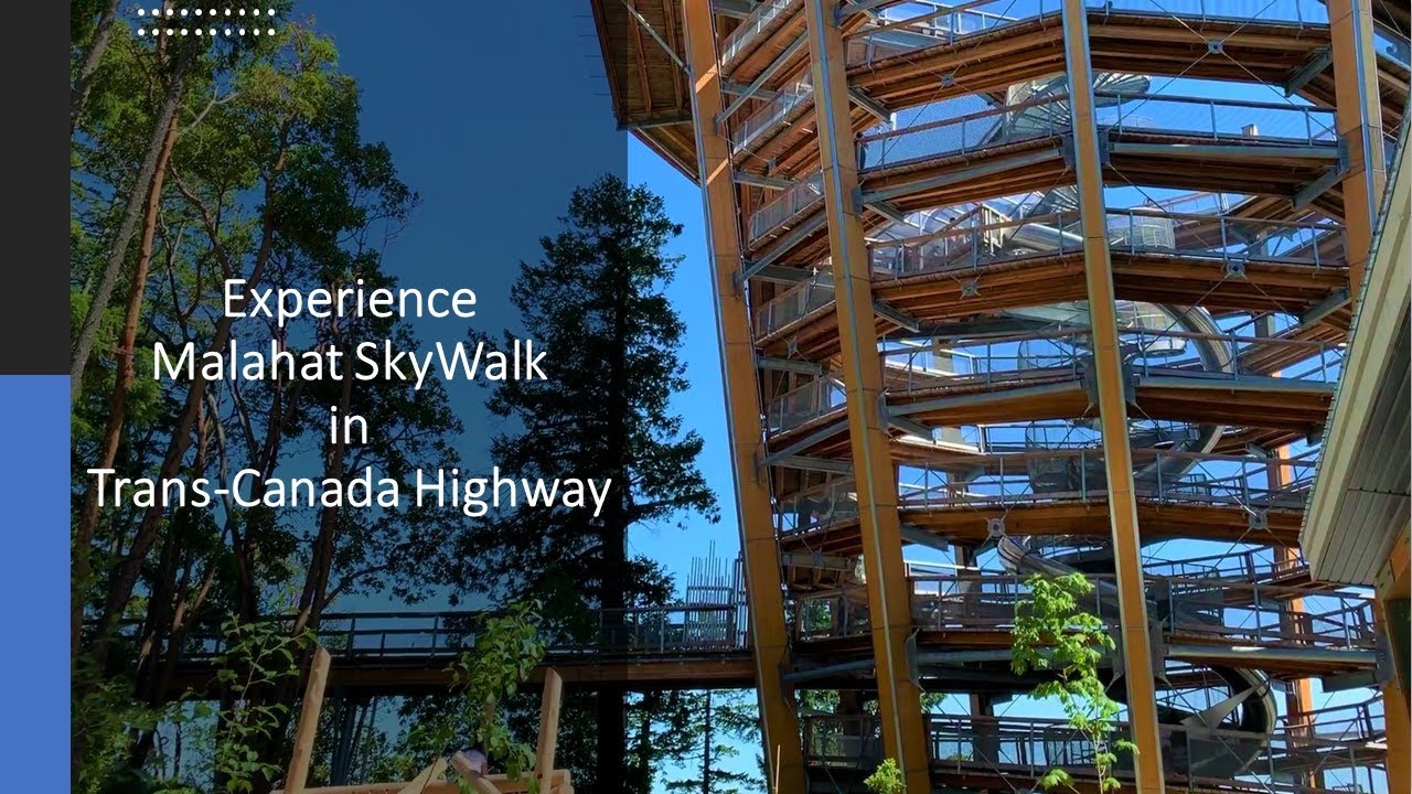 Experience Malahat SkyWalk in Trans-Canada Highway | North of Victoria, British Columbia, Canada