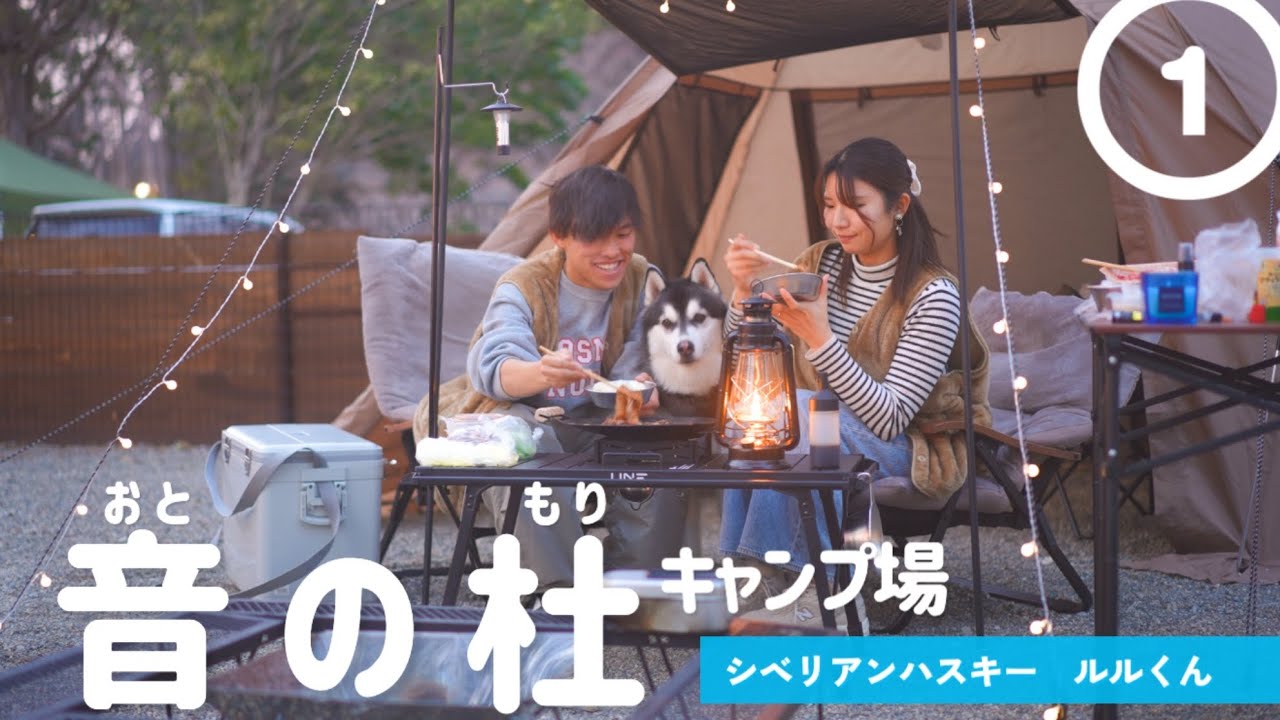 ハスキー犬とノーリードでキャンプ#1 🏕️音の杜キャンプ場（前編）