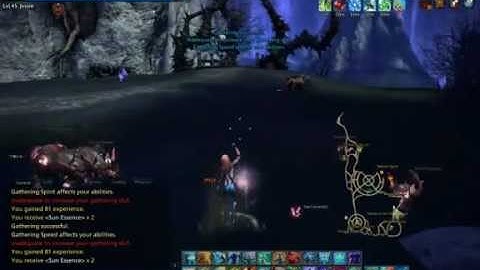 TERA Gathering Route - Tier 1 - Sun Essence