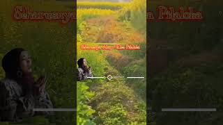 Download Lagu Seharusnya Aku - Elsa Pitaloka MP3